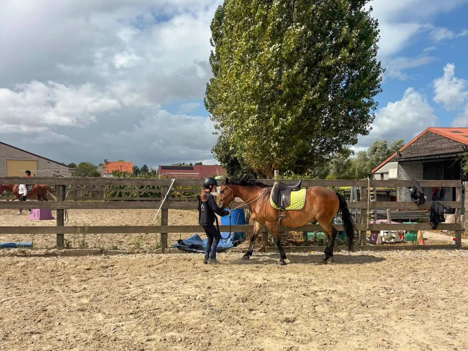 trainen pony
